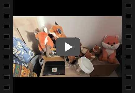 Tests vidéos